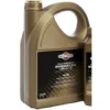 Briggs & Stratton Premium Synthetic Four Stroke Oil 5 Litre 100009 S